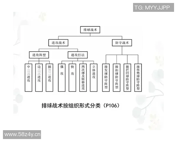 成都排球队反击战术解析与深度剖析排球竞技的魅力与挑战